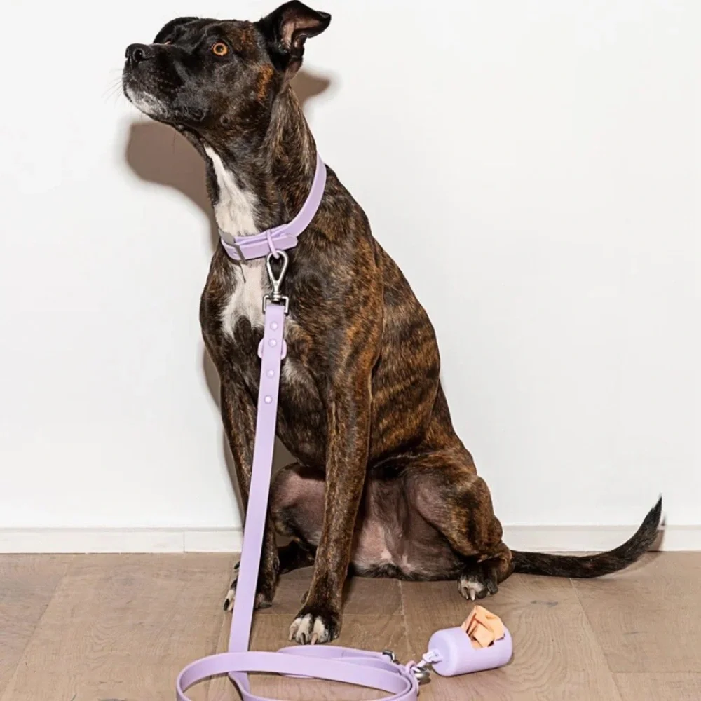 Wild One Dog Leash - Lilac